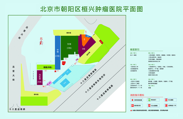 爱爱的网站北京市朝阳区桓兴肿瘤医院平面图